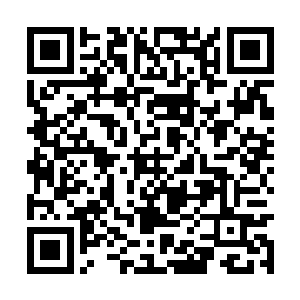 那几位当红头牌大多被官家老爷或者膏粱子弟宠幸二维码生成