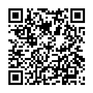 那几十个人族骑士也就像被沼泽吞噬的活物一样二维码生成