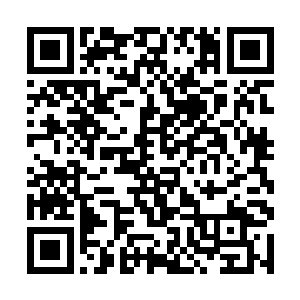 那几只老拨金鼠看到林烽的样子以后彼此对视了一眼二维码生成