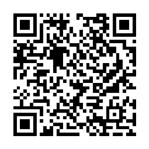 那几只老虎却是直接折在了头狗黄一一的爪子之下二维码生成