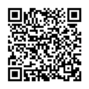 那几名不幸沾染到青色液体的正道成员就化成了灰烬二维码生成