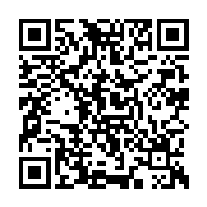 那几名学员在慕容仙儿离开之后顿时松了一口气二维码生成