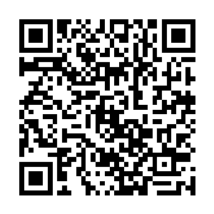 那几名小服务员一个一个的全部都瞪大眼睛看着洪大力二维码生成