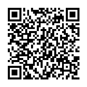 那几名弟子受命尝试银鳞金冠蛇身上各部位强度二维码生成