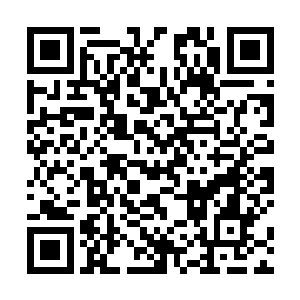 那几片掉落在地板上的落叶便随着卷动的气流腾空而起二维码生成