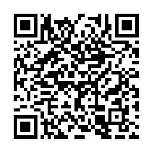 那几道剑芒从雷天刚才所在的位置嗖嗖的穿了过去二维码生成