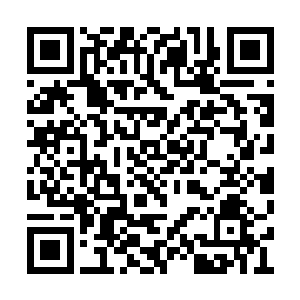 那凶残的眼中还残留着一抹让人恐惧的残忍之色二维码生成