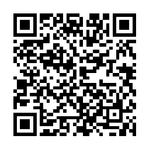 那凶虫有很大机会能成长为混沌万凶榜第一的噬元虫二维码生成