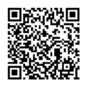 那刘珝没准就是看准了刘棉花难以拒绝周家这点二维码生成