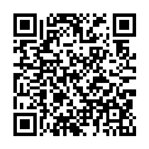 那刚刚收了禽皇残骸和灵魂的炼妖壶也激射而来二维码生成