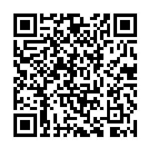 那刚刚肆虐的金色飓风却突然如同幻境一般地消散了二维码生成