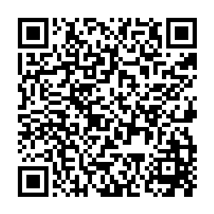 那刚刚那股让她们忍不住跪拜和窒息的腐朽的威压又是从何处而来二维码生成