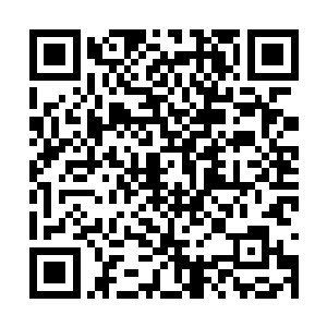 那到底是什么愿意让秦双双可以喝这些家伙接触呢二维码生成