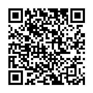 那剑芒中衍生的世界变化令他们感悟到了天道至理二维码生成