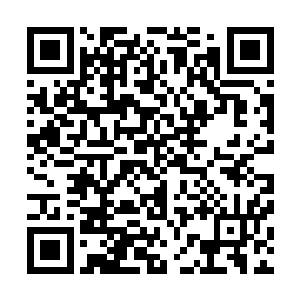 那剧烈攻击所带起的惊人动静也立刻席卷了整个虫界的内部二维码生成
