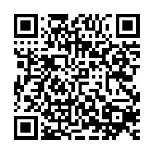 那剩下的数百名正准备动手的神王境死士一个个都犹豫了起来二维码生成