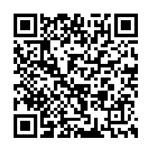 那副专注的神态甚至和欣赏大师名画时相差无几二维码生成