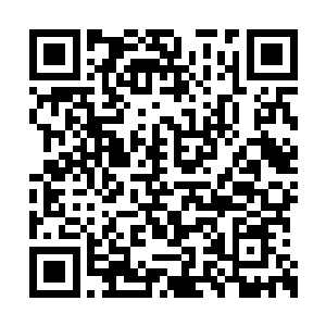 那力量在瞬息间将钱有道整条右臂上的血肉摧爆二维码生成