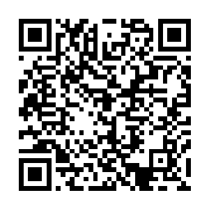 那动用元气的淬体境七层便能打出五百斤甚至一千斤的力道二维码生成