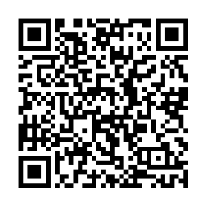 那十个被毁掉的岩浆巨人也全都汇聚向了地火的身体二维码生成