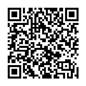 那十二个带头的准尊者也是第一时间将自己的力量打了出来二维码生成