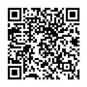 那十五级的家伙在强大的骑士面前也只是渣一样的东西二维码生成