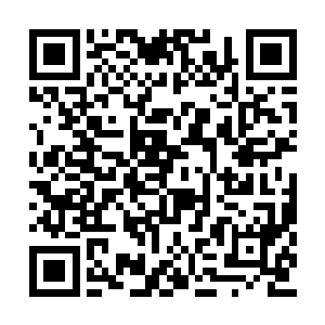 那十余名六七级的基因战士刚刚拔出身上的武器二维码生成