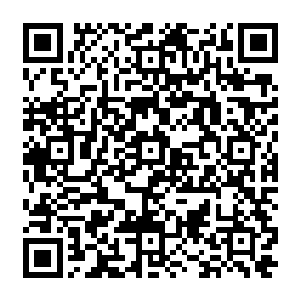 那十几个抬着摄像机和前面拿着话筒翘首以待的记着们的时候……花久久是这么想的二维码生成