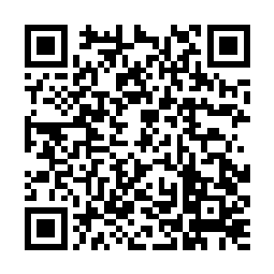 那十几个虚神境界的阴魂来到黑暗之灵大军之中之后二维码生成