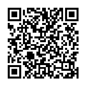 那十几只三头血蛊在空中飞行的速度也渐渐的减弱了下来二维码生成