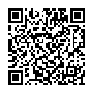 那十几名男子看到这辆行驶在雷州路之上的校车二维码生成