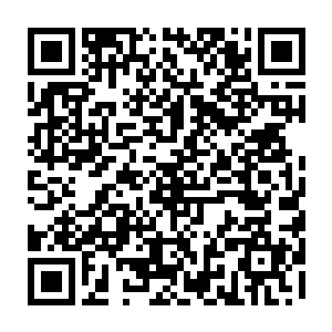 那十几名筑基期的妖修和两名金丹期的妖修便被水元沉雷炸成了肉末碎屑二维码生成