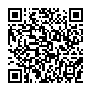 那十四个大修士的脸上也露出了一副赞同的表情二维码生成