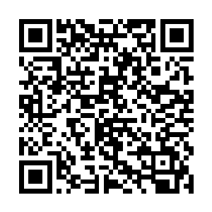 那十多名冲云殿弟子已经将那长长的匣子给取了出来二维码生成