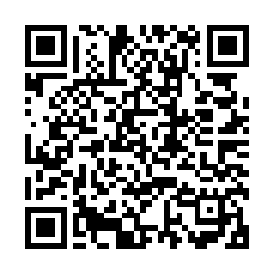 那十根黑色的小爪子几乎同时跟着魇一块进入到了周亮的体内二维码生成