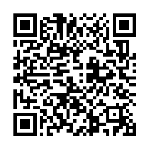 那十点的灵之力更是所有超过百星之人一起抢夺的力量二维码生成