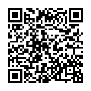 那半步大罗金仙却是在天空中冷冷看着他们开口说道二维码生成