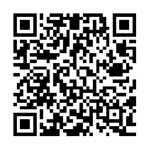 那半步大罗金仙看了看怂巴巴的那名仙人和流墨墨他们一行人二维码生成