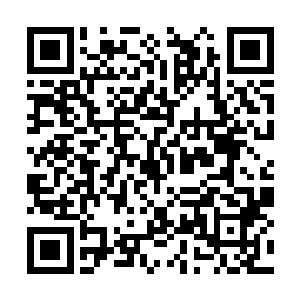 那南朝皇帝派人追上来让我将这东西转交给二太子二维码生成