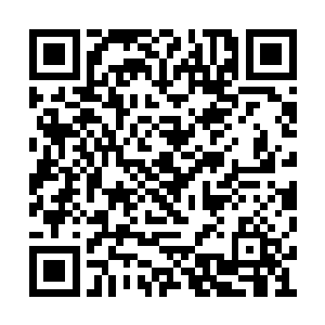 那即便是以他们的实力只怕也会承担极大的风险二维码生成
