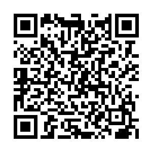 那即是莫小鱼在这里练的不是静止的树就是小鸟二维码生成