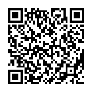 那却是他在涂章家的时候与涂章狼青闲聊的时候谈起的二维码生成