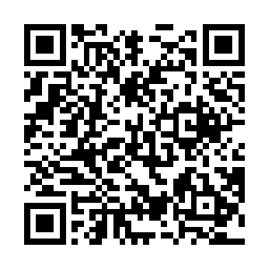 那原本不动如山的血色护罩也终于开始微微颤抖了起来二维码生成