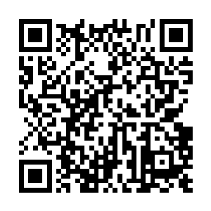 那原本代表周围树林里树木的只是一些简陋的虚影二维码生成