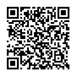 那原本压在楚旬上空的五色光手也随之光芒大作二维码生成