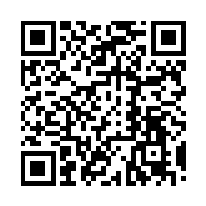 那原本只有两个拳头大的模糊彩色浑浊气流二维码生成