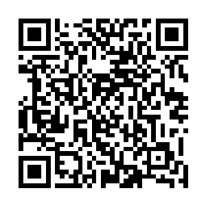 那原本在工业园区上空盘旋悲鸣的燕子纷纷朝着山坡飞来二维码生成