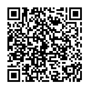那原本已经在孙悟空等顶级强者的轰击下力量大损的能量护罩也终于支撑不住二维码生成