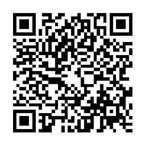 那原本应该接受远方来客拜贺的族长如今却被燎了个灰头土脸二维码生成