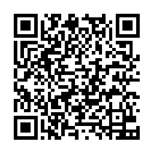 那原本庞大的鬼气威压在这一刻竟然完全的消失了二维码生成